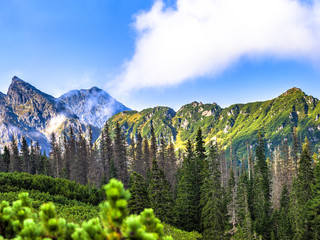 Polish Tatra mountains summer landscape with blue sky and white clouds. Panoramic HDR montage