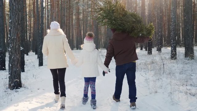 A happy family with a child is walking along a snow-covered forest, the father is carrying a Christmas tree. Christmas Eve and New Year's Eve. Rear view
