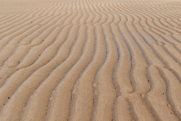 Sand rippled textured pattern created by low tide. Abstract background