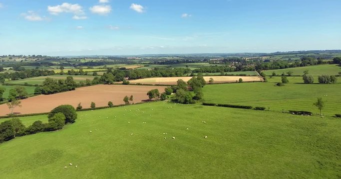 English countryside with agriculture farms, green meadows, pastures, hedgerows on a summer day in Cotswolds .