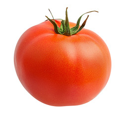 Fresh tomato isolated on white background with clipping path