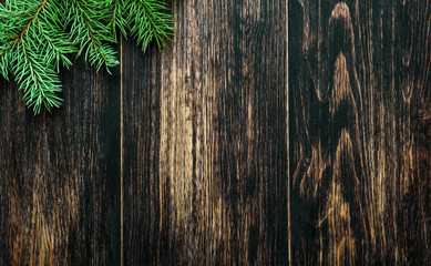 Spruce branches on a dark vintage wooden background