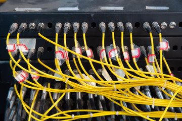 network cables connected in network switches