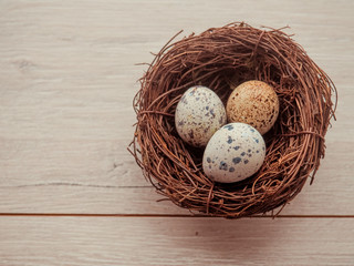 Fototapeta premium quail eggs in wooden plate over dark old wooden background