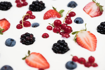 Fruits in milky background