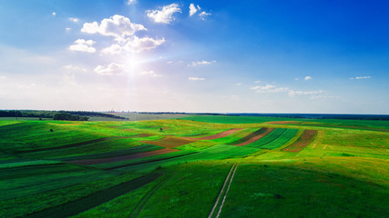the green field is at sunset shot with the drone