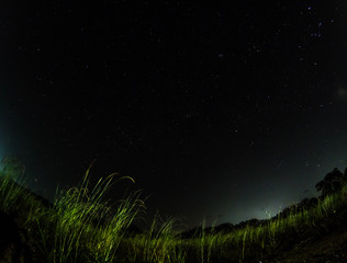 starry night at the meadow