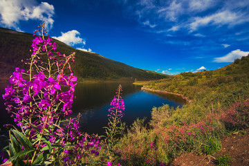 Naklejka premium Lake in the Altai Mountains, Siberia