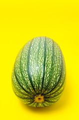 Zucchini on a yellow background, healthy green vegetables.