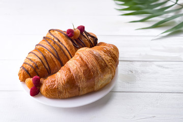 Fresh Croissant with berries and palm leave isolated on white wooden background , copy space