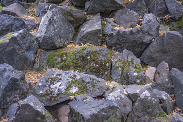 A wall of stone blocks overgrown with moss