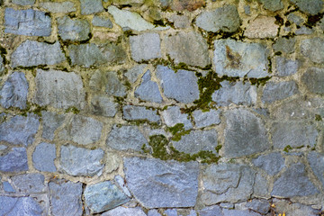Wall of stone blocks with a vine