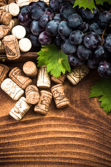 Vine grapes and cork, winery concept