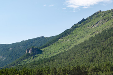 Mountain landscape, mountains covered with pine forest.