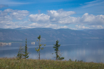 Larch trees on Ogoy island, lake Baikal