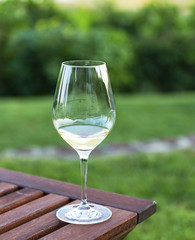 White wine in the glass on the table