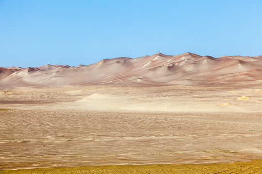  Paracas National Reserve
