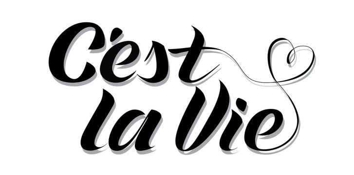 Inspirational handwritten modern style lettering quote C'est la Vie (That's life). Original vector calligraphic art. Great for posters, t-shirts, prints, cards, banners.