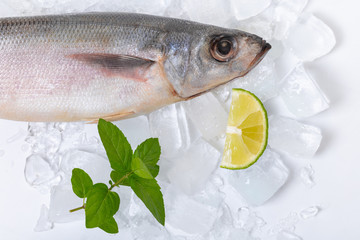 raw fish lying on ice