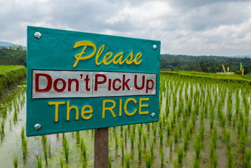 Fototapeta premium The sign protecting rice in rice fields