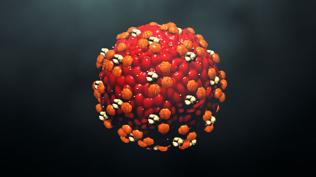 Measles Virus Or Virus