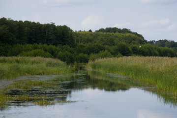 Fototapeta na wymiar Landscape at lake Mälaren, Stockholm, Sweden 