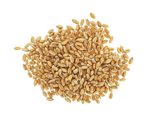 Wheat grains isolated on white background, top view.