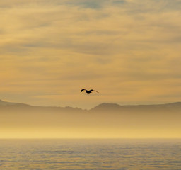 Fototapeta na wymiar Sunrise on False Bay, South Africa