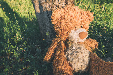 Miserable abandoned teddy bear outdoors