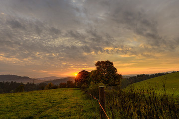 Soft morning light over rolling hills and unspoiled landscape in pale green, pasture fence leading line, dark trees and soft sun at sunrise