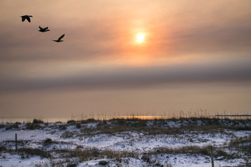 Winter Beach