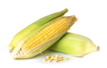 Fresh sweet corn isolated on white background