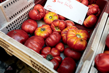 Red tomatoes ready to be sold in a french market
