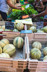 French melons ready to be sold  in a french food market