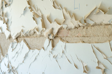 Water damage plaster peeling sub basement