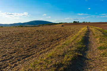 Traktor beim Pflügen auf einem Feld im Sommer, Rheinland-Pfalz, Deutschland