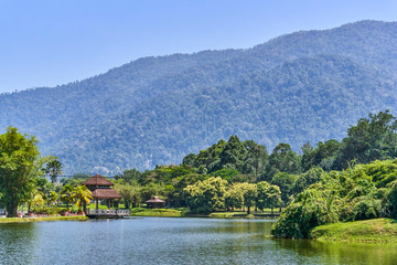 Fototapeta premium Beautiful Taiping Lake Gardens or Taman Tasik, Malaysia