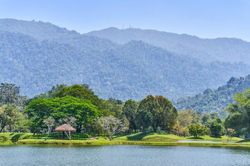 Fototapeta na wymiar Beautiful Taiping Lake Gardens or Taman Tasik, Malaysia