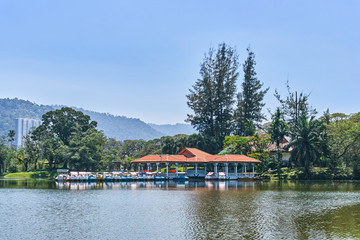 Fototapeta na wymiar Beautiful Taiping Lake Gardens or Taman Tasik, Malaysia