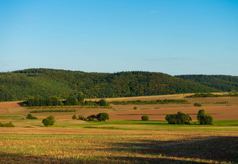 Obraz premium farbige Felder in der Pfalz, Rheinland-Pfalz, Deutschland