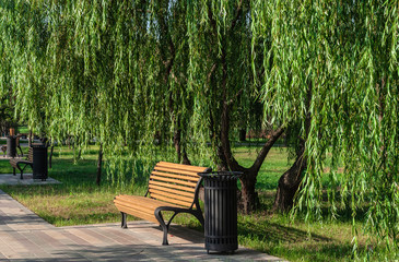 Bench standing under a willow tree in the Park
