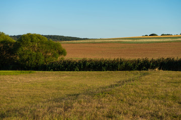 Obraz premium Landschaft rund um den Donnersberg, Rheinland-Pfalz, Deutschland