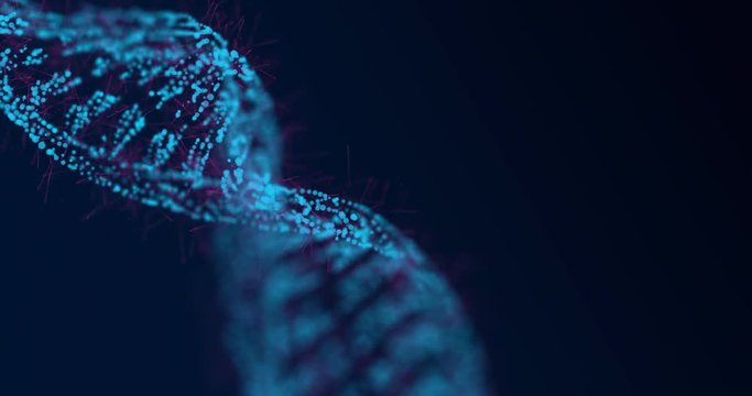 Abstract glittering DNA double helix with depth of field rotating. Mysterious source science animation. Genom futuristic footage. Conceptual design of genetics information. 4k UHD.