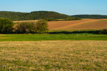 Fototapeta na wymiar Felder nach der Ernte im Sommer, Pfalz, Rheinland-Pfalz, Deutschland