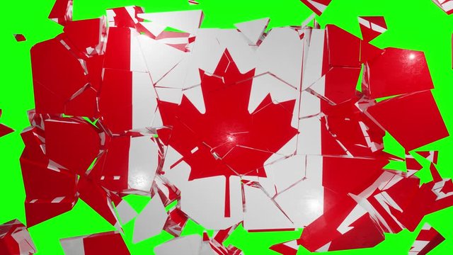 Canadian Canada collapse flag country dollar 4k