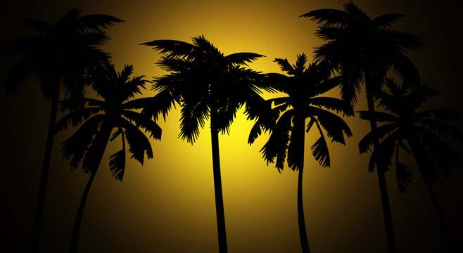 Tropical background, palm tree, sunset