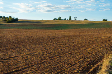 Felder nach der Ernte im Sommer, Pfalz, Rheinland-Pfalz, Deutschland