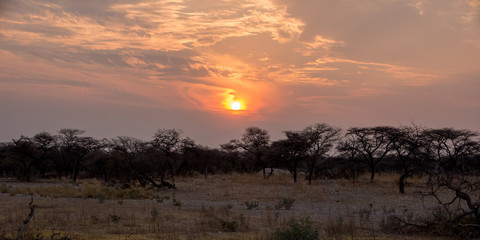 Namibian Sunset