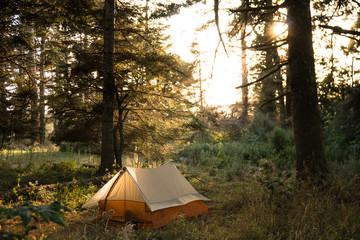 Small old style tent sits in the forest with sunset light