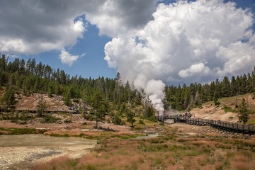 Erupting small hot springs at Yellowstone National Park in a summertime landscape